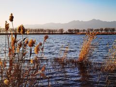-野鸭湖国家湿地公园