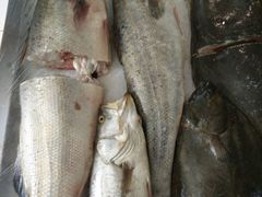 -宏源鑫海鲜餐厅·海景婚宴厅(石老人店)