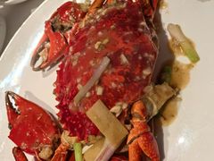 -侨美食家·40年地道粤菜(珠江新城店)