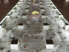 -青岛贝壳博物馆