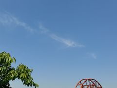 -上海滨江森林公园