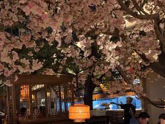 -桂满隴·站立的杭州(无锡八佰伴店)