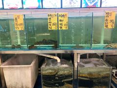 水产区-丰尔粥食·顺德鱼生·干蒸排骨顺德菜(大良分店)