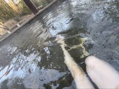 -徂徕山森林康养度假谷温泉