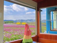 -径山花海