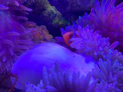 -多彩贵州城极地海洋世界