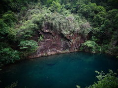 -大奇山国家森林公园