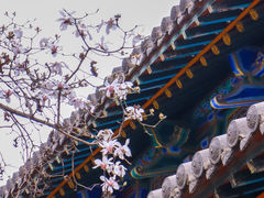 -碑林公园