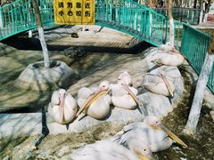 -水上乐园·欢乐世界