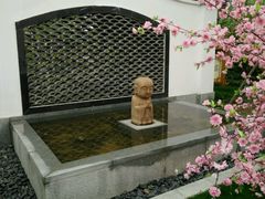 -郑州银基黄帝宫御温泉