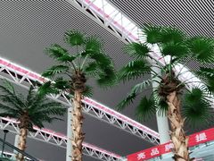 -合肥新桥国际机场-航站楼
