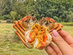 -七的湖·晚芳亭·阳澄湖农家菜·大闸蟹(莲花岛店)