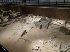 -洛阳周王城天子驾六博物馆