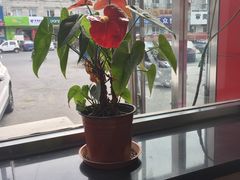 -庆丰包子铺(天通苑店)