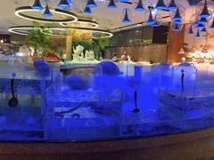 -小天鹅戴斯酒店鲸鲨百汇创作料理