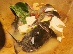 长江黑鮰-滇小鱼·云南野生菌火锅(上杭路店)