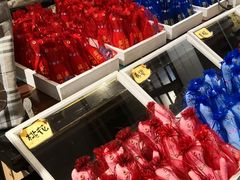 -猫咪博物馆(顶澳仔猫街店)