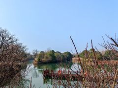 -西溪国家湿地公园