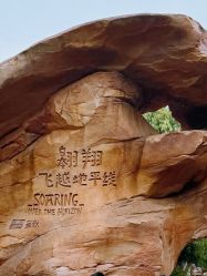 -翱翔飞越地平线