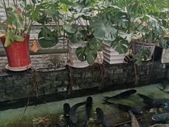 -燕北云山·农家菜·灶台鱼(密云溪翁庄店)