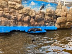 -华夏文旅海洋公园