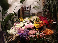 -植物学家的女儿(北马道巷店)