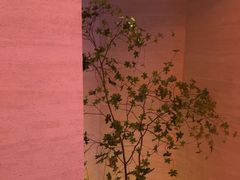 -舒小悦·舒养SPA·古法推拿(光环中心店)