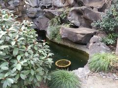 android_upload_pic-贝轩大公馆