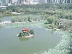 -青城公园