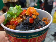 -董顺桃老长沙臭豆腐(步行街店)