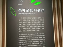 -中国茶叶博物馆(双峰馆区)