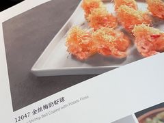 -羲和雅苑•北京烤鸭(乐园道万象城店)