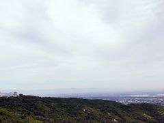 -紫云台香草园