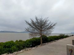 -深圳湾公园(南山区)