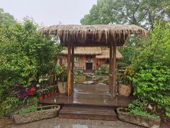 -南山植物园