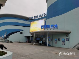 亲子游必去|温州极地海洋世界—Apple妹妹心心念念