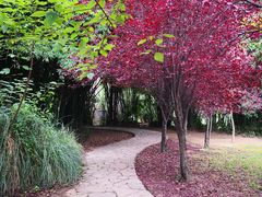 -贵阳市花溪国家城市湿地公园