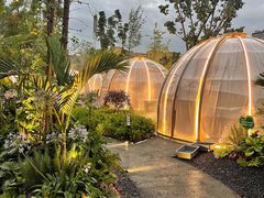 -悦见花开·花园里的火锅·露营·下午茶