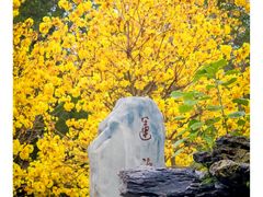 -光孝寺