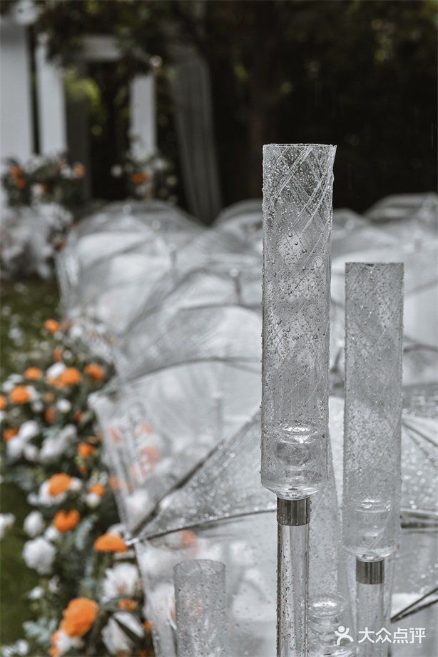 小预算草坪婚礼｜户外森系小清新