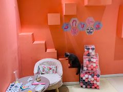 -藏猫猫咖啡主题馆(中央大道店)
