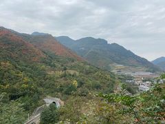 -牛背梁国家森林公园