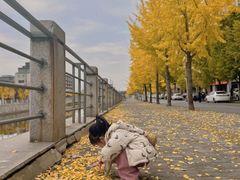 -浦江城市生活广场(江月路店)