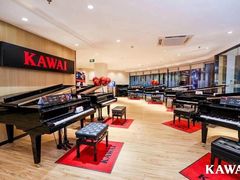 -柏斯琴行(汾阳店)