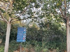 -滨河世纪广场公园
