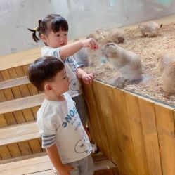 -七巧国萌宠乐园(龙湖天街店)