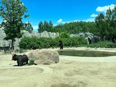 -齐齐哈尔龙沙动植物园