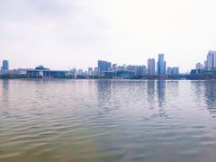 -月湖风景区