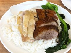 -香港深井掂檔烧鹅茶餐厅(海韵城店)