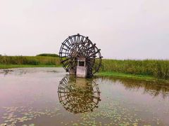 -宁波杭州湾国家湿地公园